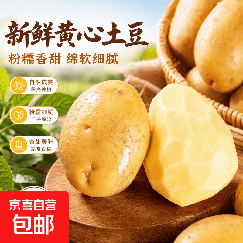 【限时优惠】新鲜土豆黄皮黄心马铃薯洋芋地瓜 定边地标生鲜蔬菜 1斤新鲜小土豆【净重】