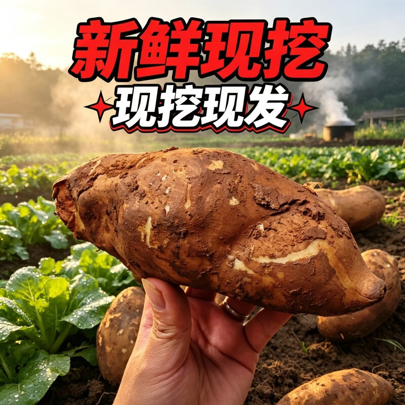 正宗云南天山雪莲果新鲜应季低糖水果脆甜多汁整箱批发 优选1斤中小果试吃装(单果100克以上)