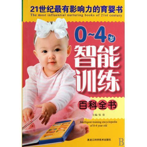 中国数字图书馆宏观管理研究
