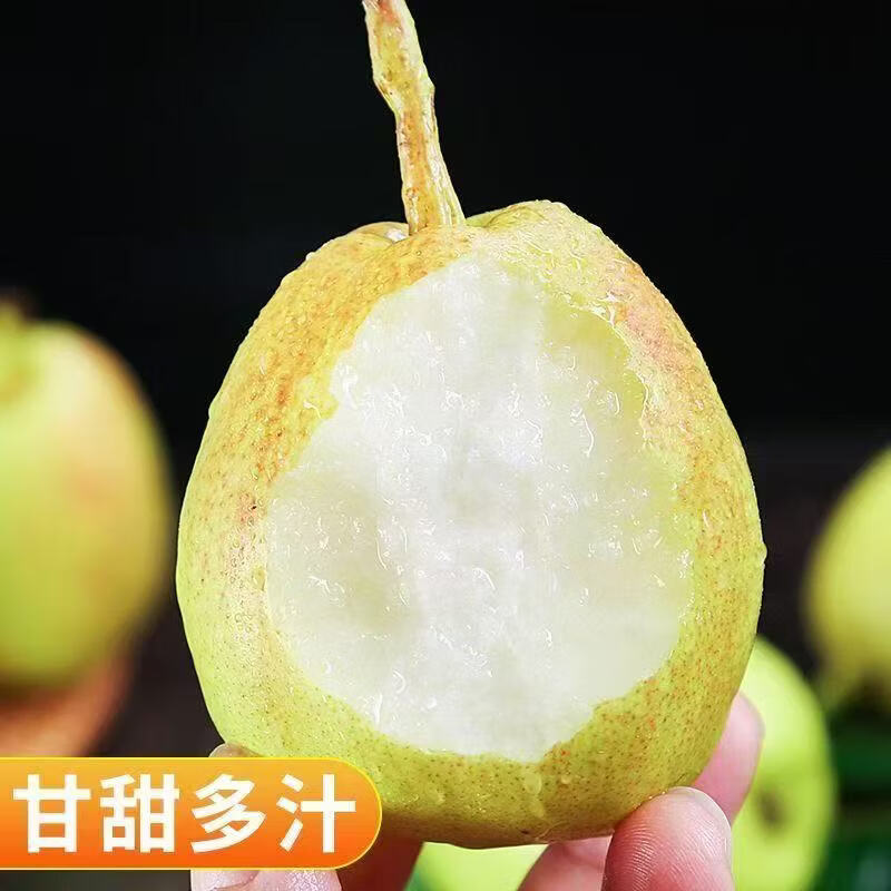 亨泰丰源小香梨酥梨新鲜应季当季水果皮薄汁水多现摘新疆库尔勒地区产梨子 净重4.5斤小香梨