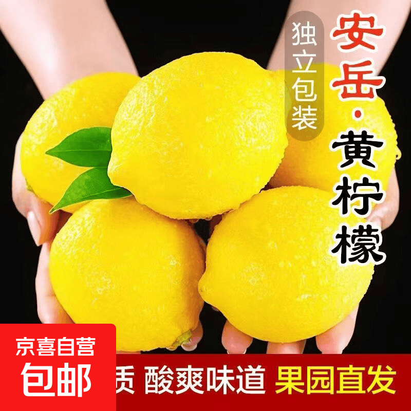 京喜 四川安岳新鲜黄柠檬产地直发奶茶店专用当天发货 3斤带箱重【净重2.75斤】 【鸭蛋大小 价格实惠款】单果80-100g