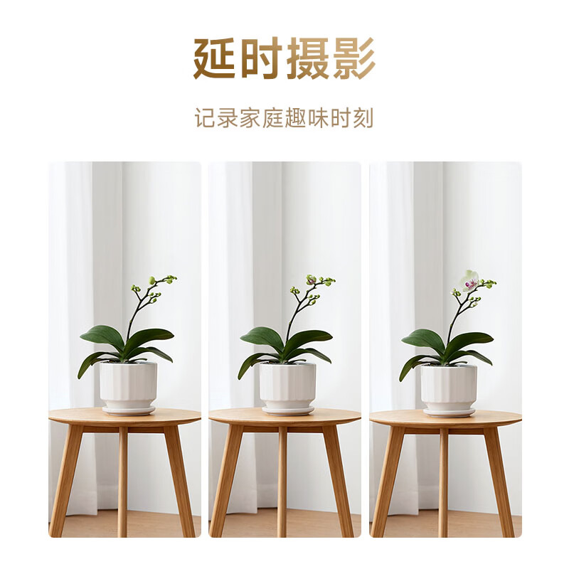 图 6