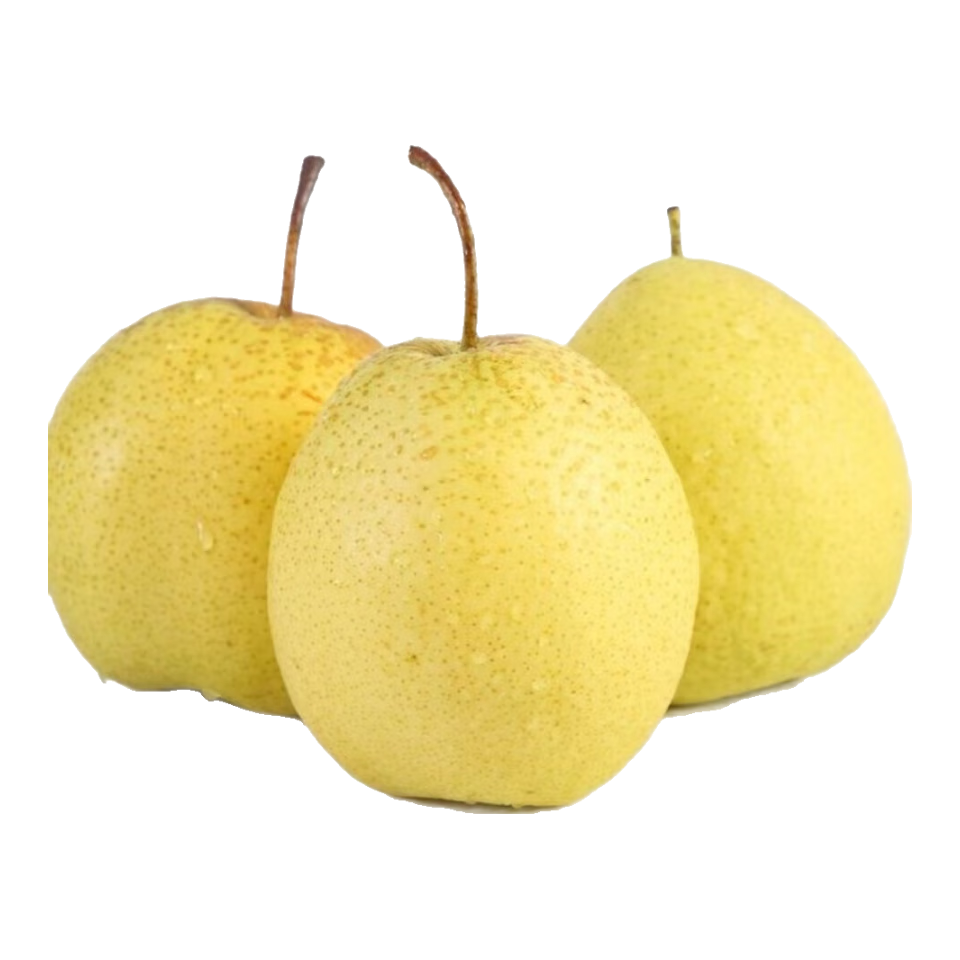 遠(yuǎn)達(dá)（YUANDA）正宗趙縣雪花特產(chǎn)梨新鮮冰糖雪梨脆甜梨子應(yīng)當(dāng)季水果整箱大果特產(chǎn) 紅色 雪花梨凈重4.5斤大果