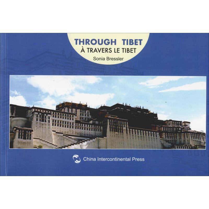 穿越西藏截图