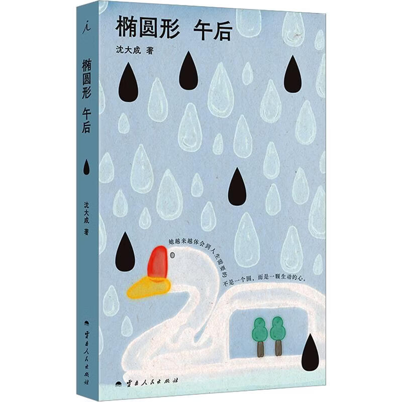 椭圆形午后 云南人民出版社 沈大成 著 书籍 图书