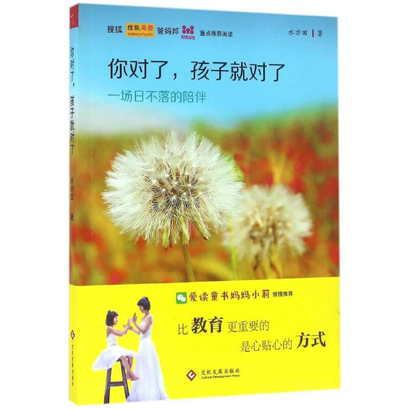 你对了,孩子就对了 水亦田  书籍