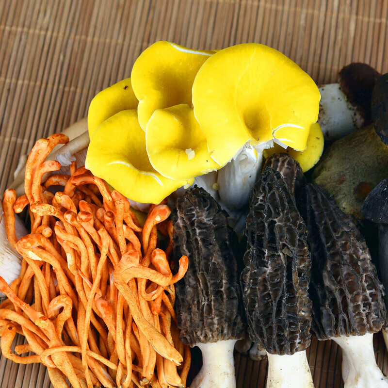 禾澹十种新鲜菌汤包云南蘑菇特产组合羊肚菌虫草花鸡油菌鸡枞竹荪松茸