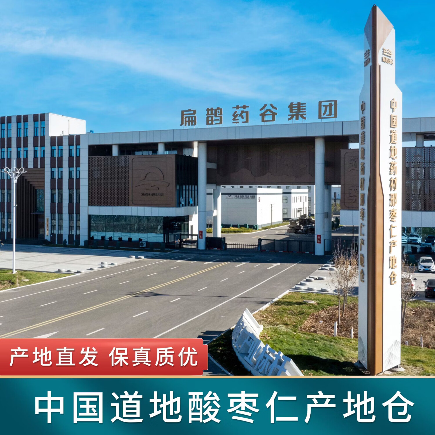 襄鹊仁酸枣仁纯粉官方正品中药材养生茶正宗内丘酸枣仁炒熟特纯 250g*1罐