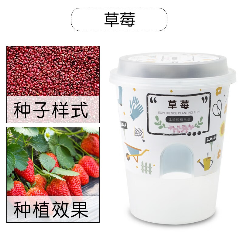 花玩家绿植专营店-价格走势、销量趋势和精选产品评测|京东花卉历史价格查询在哪