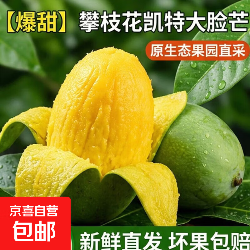 【爆甜】攀枝花凯特芒果大脸芒新鲜大芒果特大青皮芒当季整箱X 攀枝花凯特大芒果 含箱3斤小果【单果300g起】（净重2.6斤）