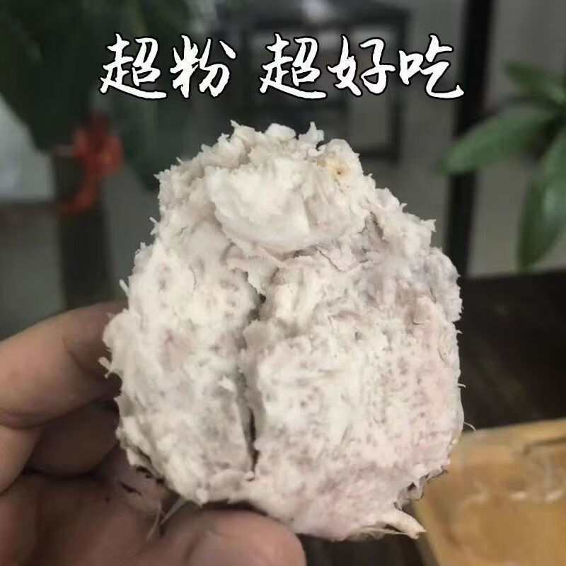 广西荔浦芋头仔小芋头芋艿槟榔芋仔产地直发 单果60-250克 帯箱8.87-9.32斤