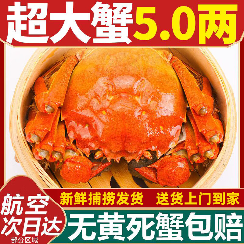 【活蟹】洪泽湖大闸蟹鲜活螃蟹母3.5-3.8公4.0-4.3两6对12只批发 全母【2.5-2.8两】10只