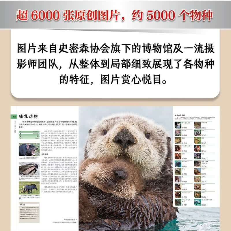 图 5