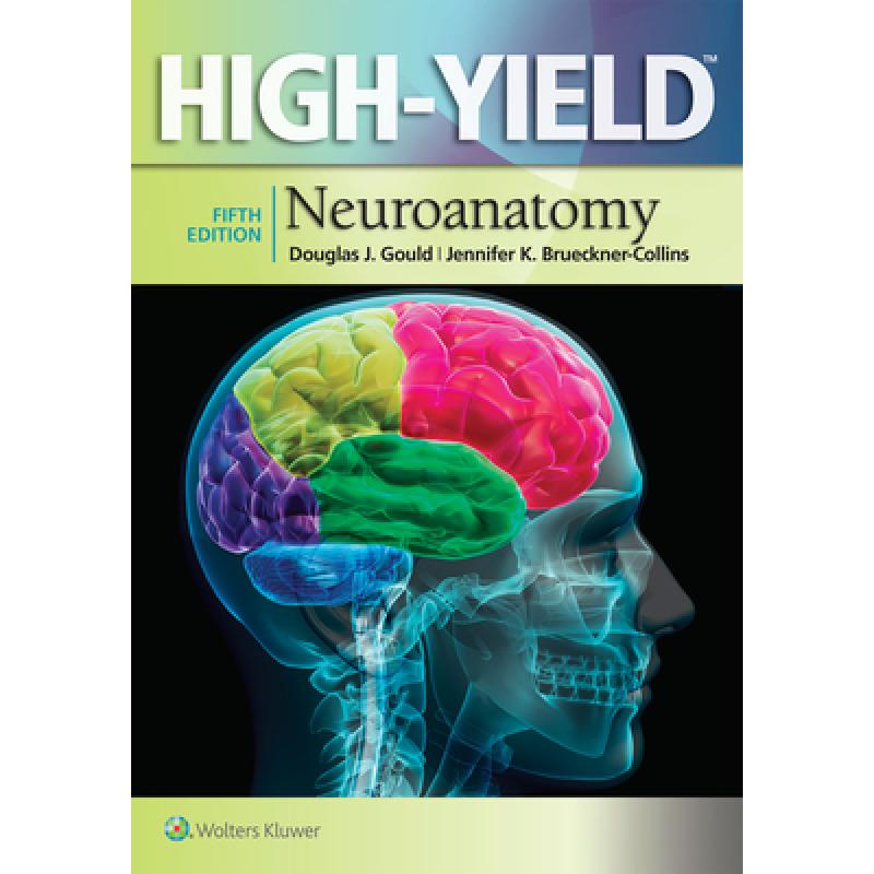 【4周达】high-yield64 neuroanatomy (high-yield series)