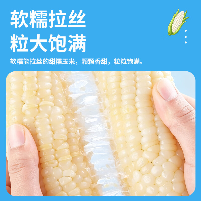 阳光粒亮甜糯白玉米软糯香甜皮薄无渣真空直抽非冻品 甜糯白玉米段800g