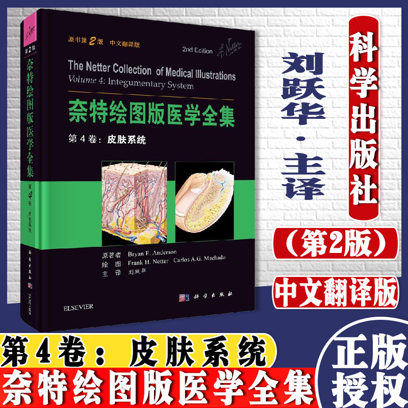 正版现货 奈特绘图版医学全集 第4卷皮肤系统 原书第2版（美）奈特等主编 科学出版社