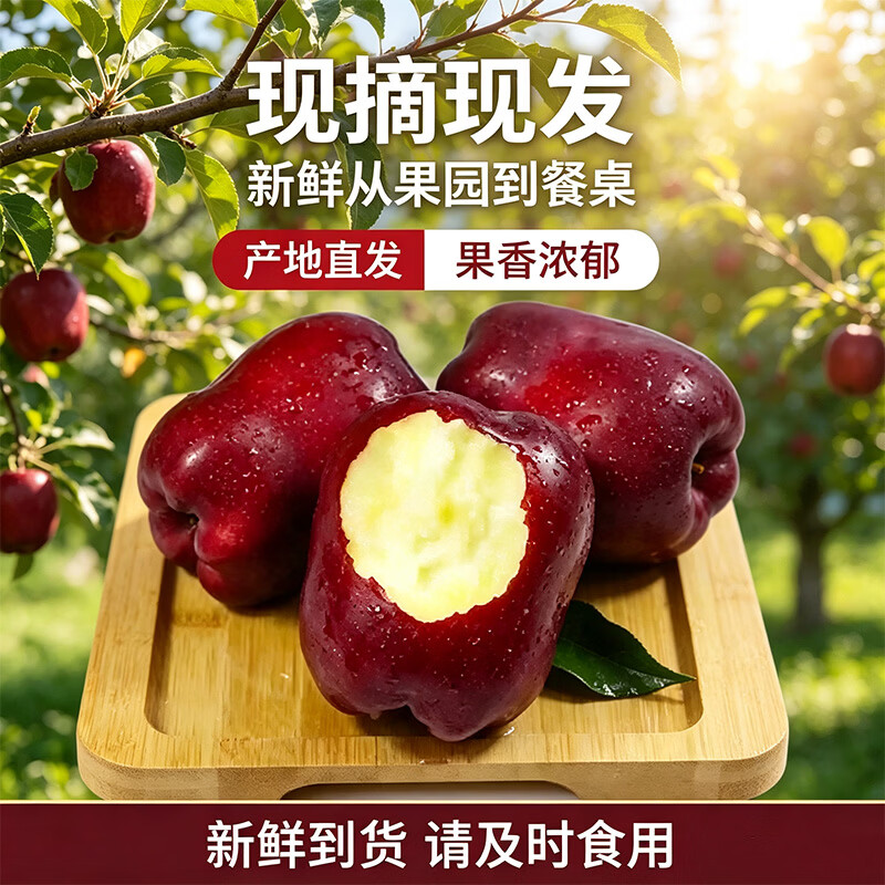 莎凰甘肃天水花牛苹果水果面苹果当季新鲜水果 中秋送礼 净重4.5斤 单果70mm+