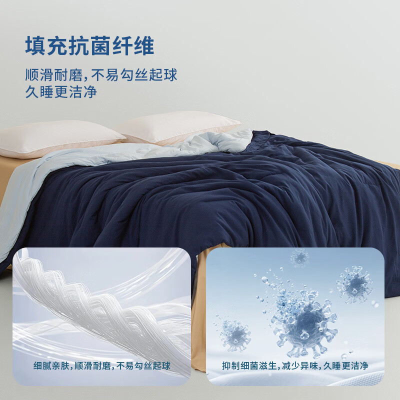 ELLE DECO2026新款二合一被芯可水洗控温被子四季通用冬被保暖家用床品 绯枝暖絮 200cm*230cm