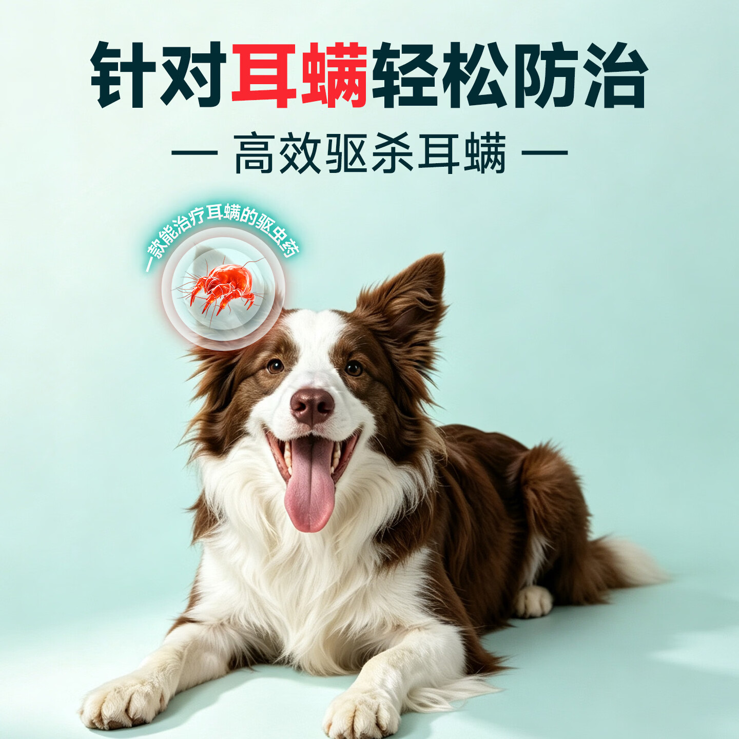 PETTOLEE宠特灵宠物驱虫药 吡虫啉莫昔克丁滴剂 6支【大狗用】4~10kg内外同驱 1.0ml*6支