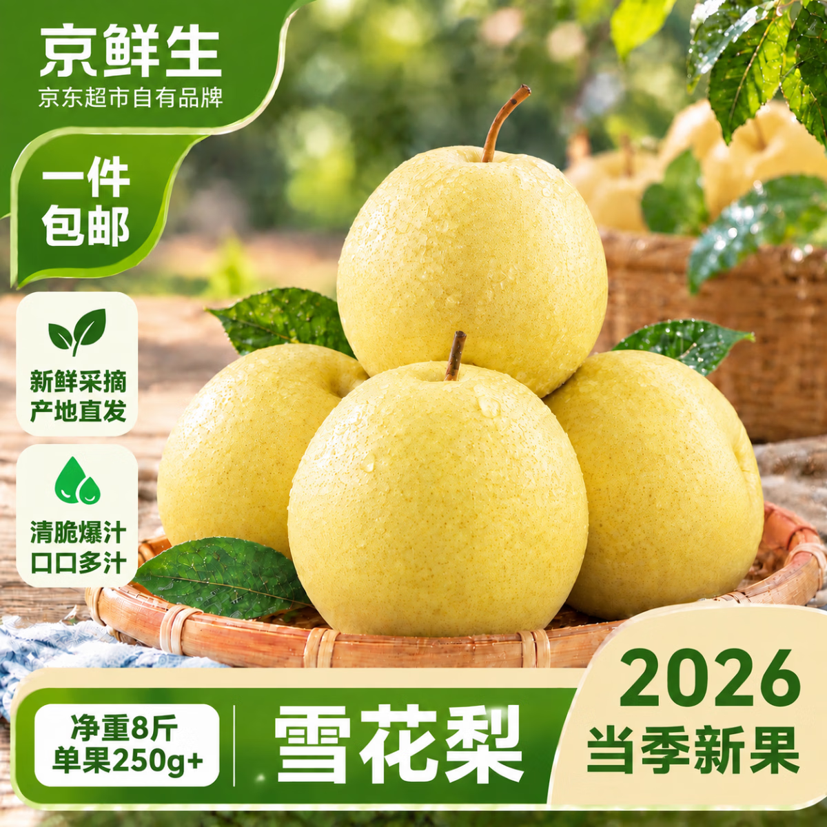京鲜生蔬果合集：小黄瓜14.89元/雪花梨19.9元等多款水果低至13.8元
