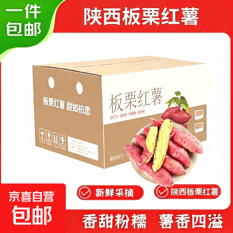 【东东农场专供】陕西正宗临潼板栗红薯粉面香甜新鲜现挖源头直发 9斤彩箱【单果3两起】 粉糯香甜