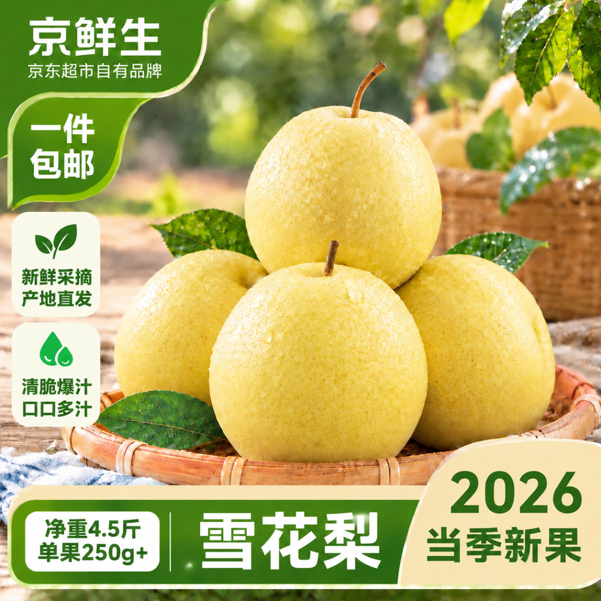 京鲜生河北卢龙雪花梨净5斤 14.9元 - 86线报