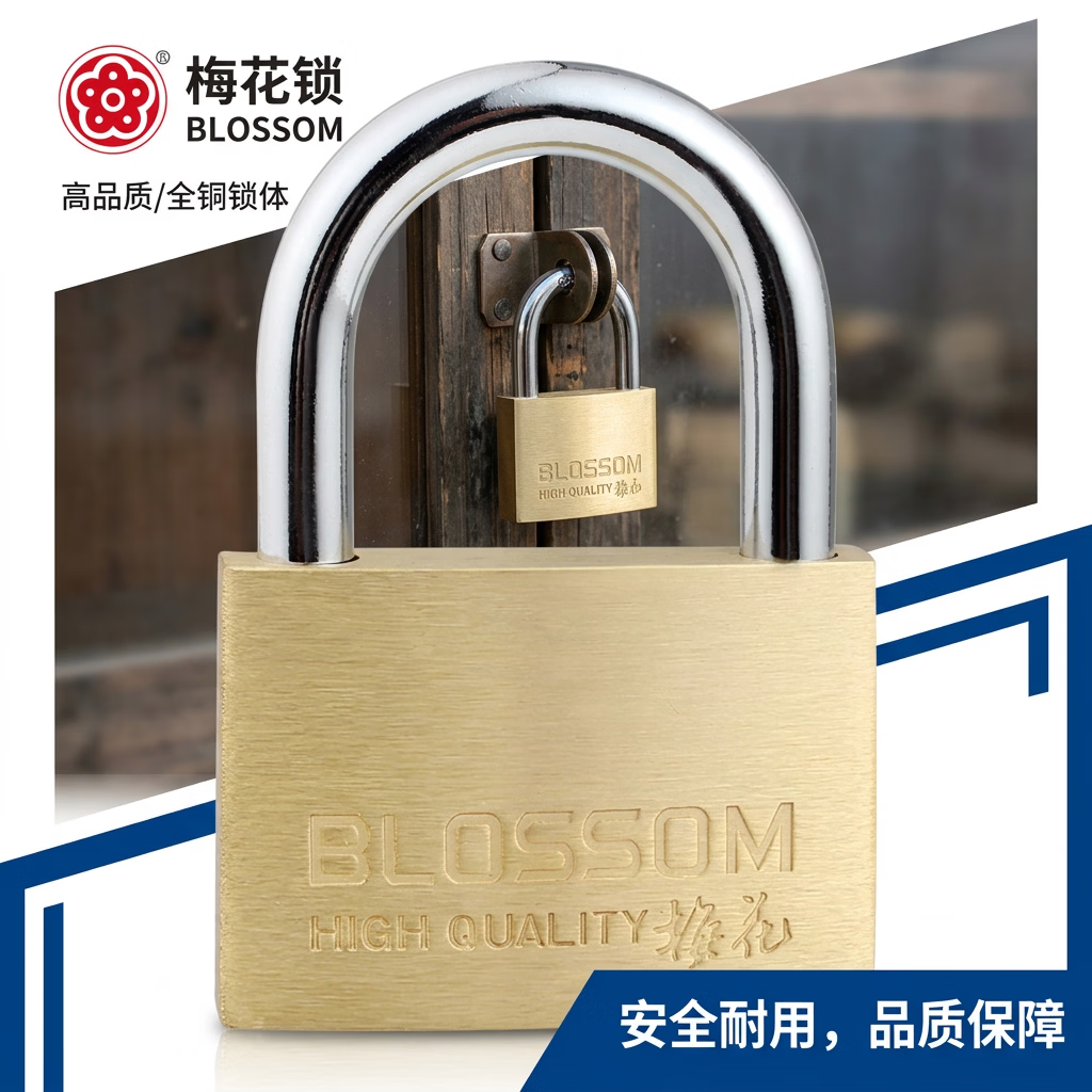 梅花（BLOSSOM）铜挂锁 防水防锈家用锁具 宿舍挂锁柜门锁 防盗窗锁头55mm（076）