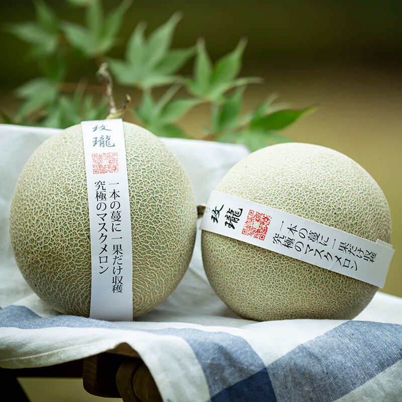 译蒙之味【顺丰】海南玫珑网纹蜜瓜新鲜网纹瓜孕妇当季口口蜜冰淇淋甜瓜 净重5-5.5斤【2枚礼盒装】顺丰