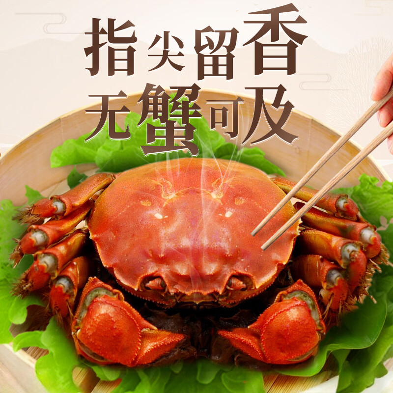 【活蟹】蟹如愿大闸蟹鲜活螃蟹大闸蟹中秋节送礼海鲜礼盒 3.5两公蟹2.5两母蟹-4对8只