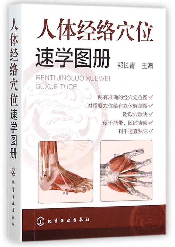 人体经络穴位速学图册