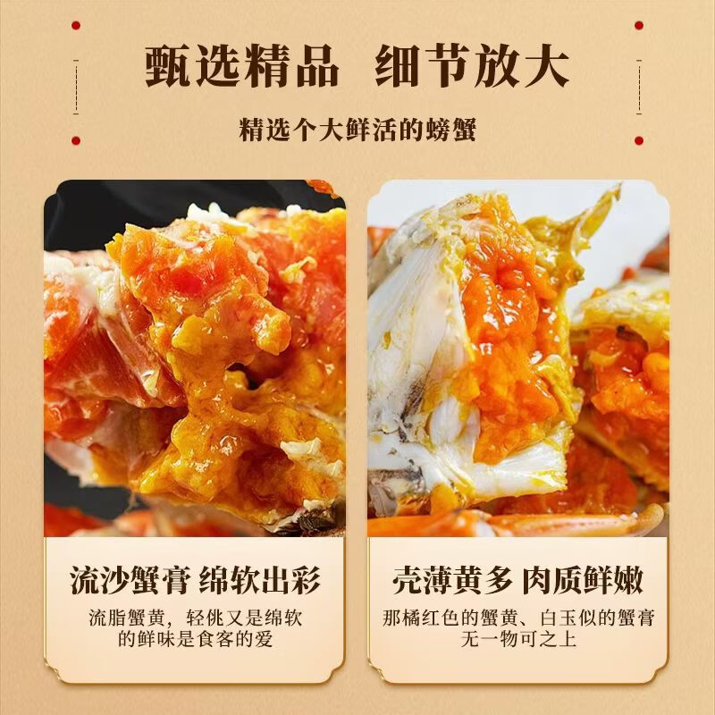 蟹妃蟹煌【活蟹】苏州精品大闸蟹鲜活螃蟹现货生鲜中秋礼盒源头直发 1688型 全母蟹3两 5对 10只