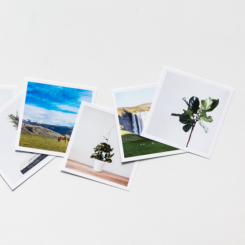 洗照片 照片冲印 晒照片 手机照片在线打印 富士金冠绒面相纸 6寸100