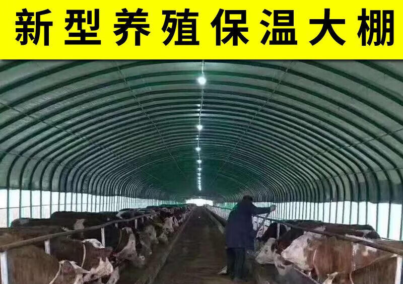 米詅养殖大棚钢管骨架全套椭圆管温室养鸡鸭鹅兔猪舍羊圈牛棚搭建 6米
