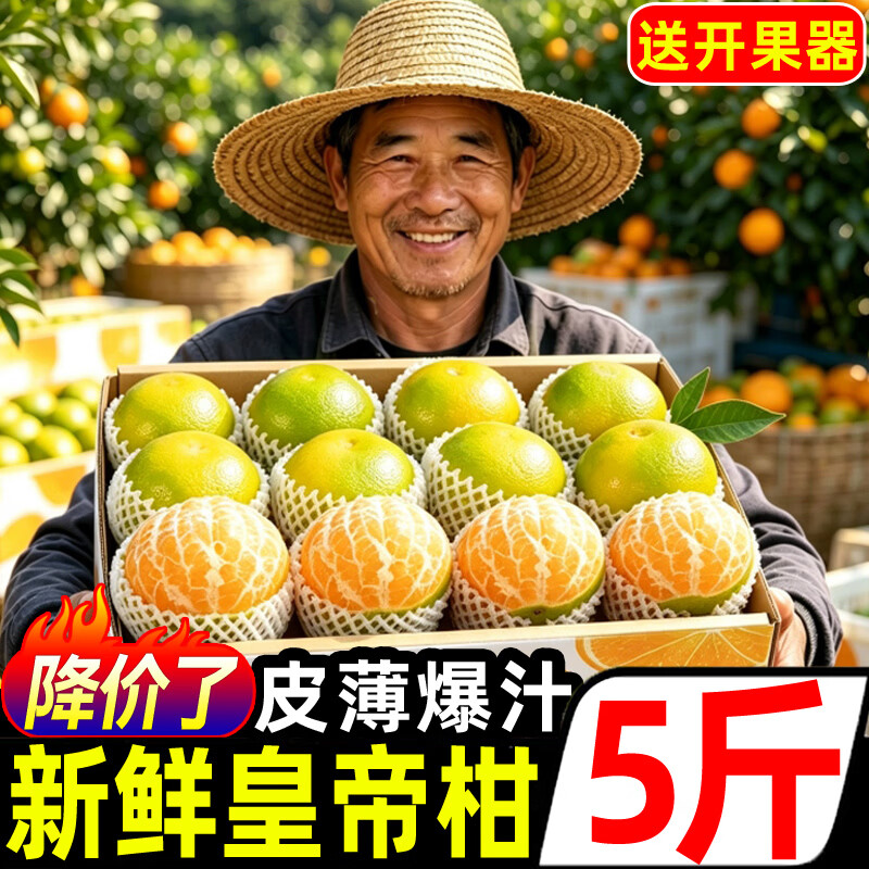 豔疅正宗广西皇帝柑新鲜当季水果大果青黄皮蜜桔柑橘橙子酸甜多汁生鲜 净重4.8-5斤【中果】约29-30个|单果55-60mm 京东折扣/优惠券