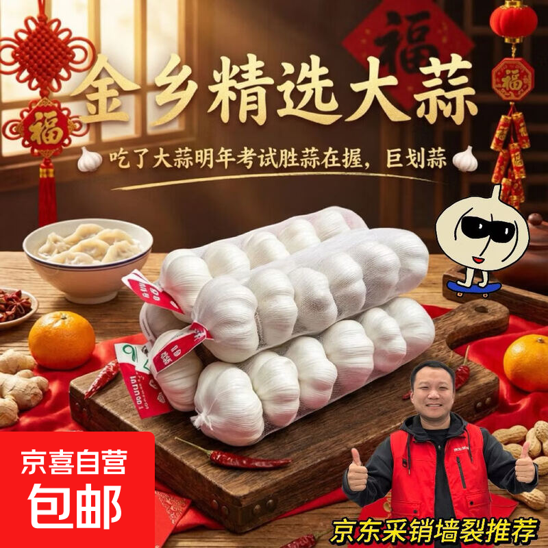 山东金乡蒜大蒜出口标准精选大蒜头蔬菜调料单果5cm 出口标准网兜装箱 净重455g 5-5.5cm特大