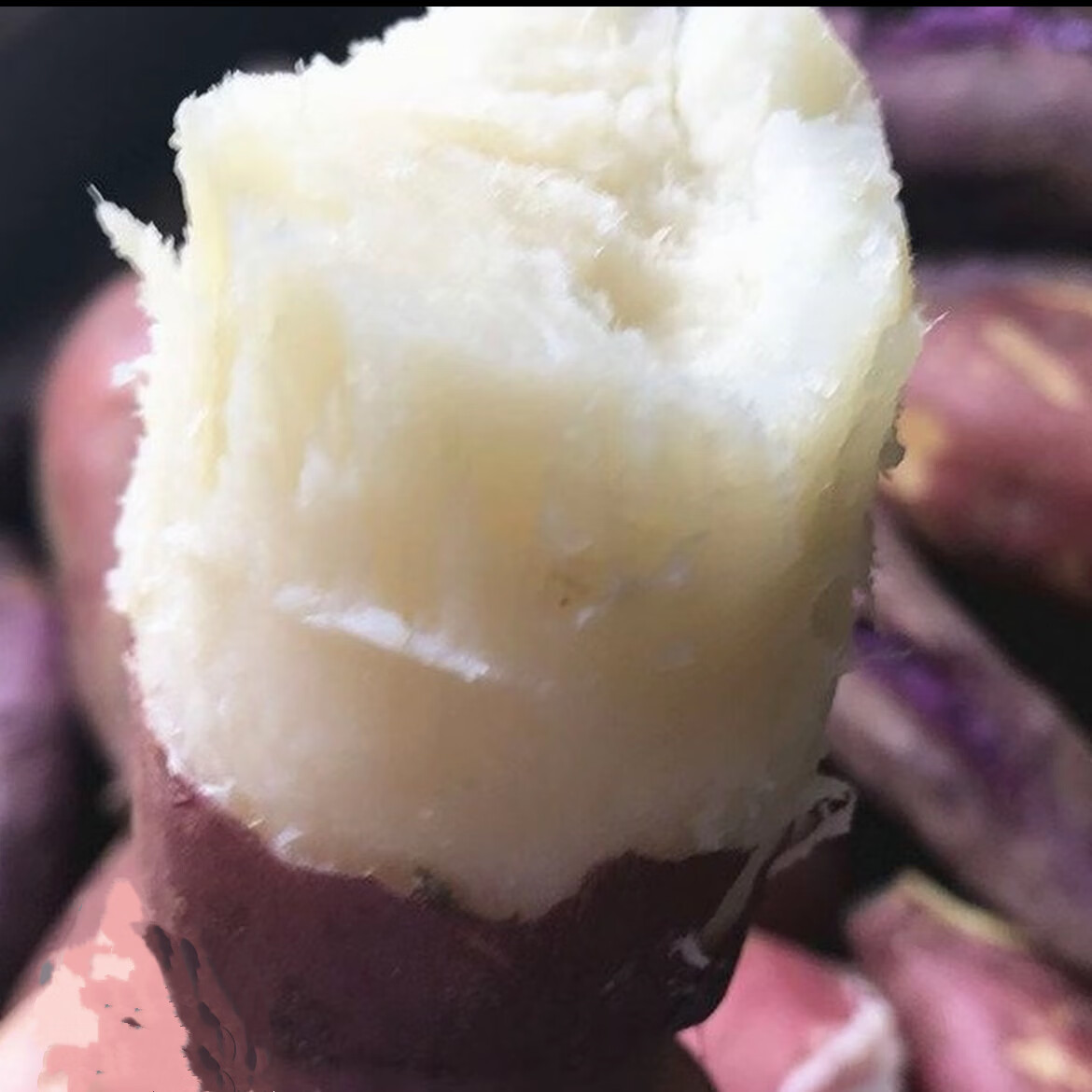 【哈密冰糖薯】正宗哈密红薯地瓜白心干粉香甜红薯蜜薯生鲜地瓜 中薯3-6两(好蒸好烤干粉香甜白心红薯) 重量4斤装净重