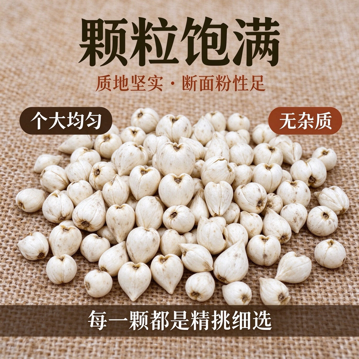 西藏特产野生藏贝母西藏林芝超川贝松贝母中药材50克新货批发 藏贝母打粉500克 500g*1瓶