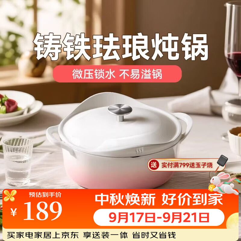 王源吉珐琅锅家用铸铁锅炖锅汤锅砂锅海鲜炖盅电磁炉专用不粘煮锅 花瓣珐琅锅 24cm 适用3-5人