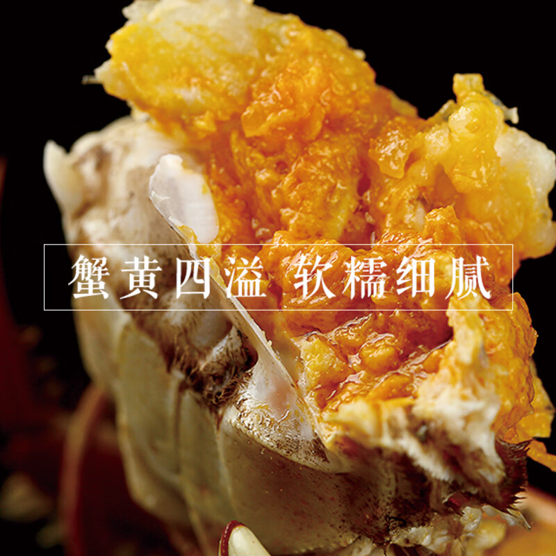 【活蟹】湖丰鲜活大闸蟹螃蟹礼盒生鲜水产节日送礼礼物次日达 公3.0两 母2.0两 3对6只