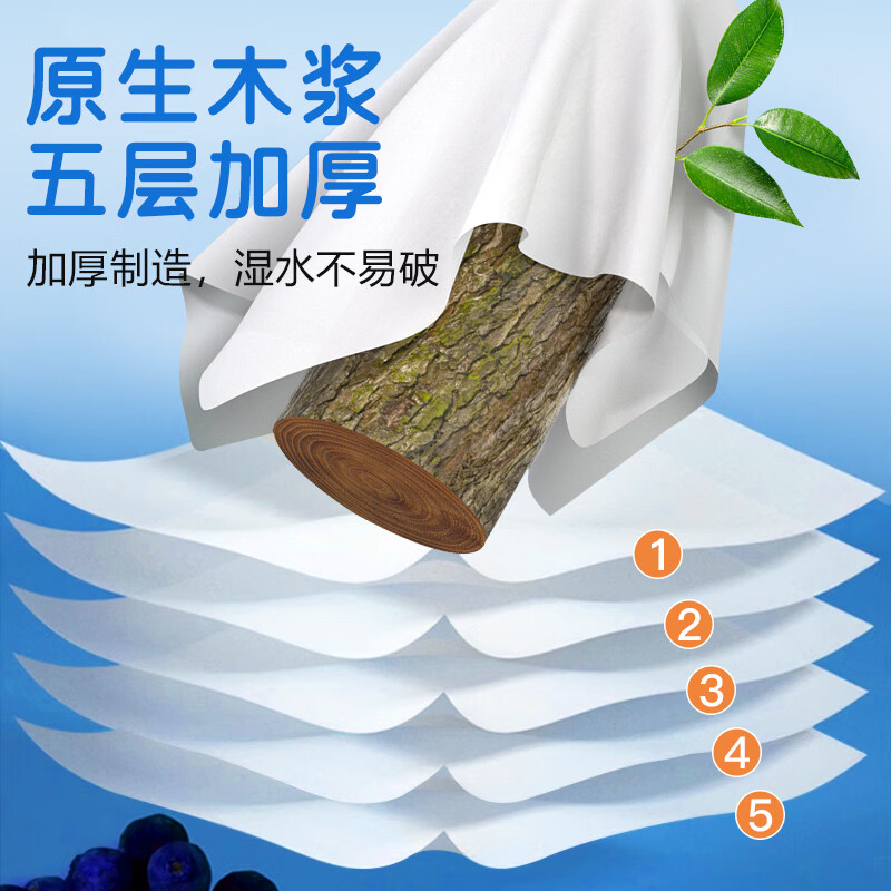 BLUEGUAN母婴品质五层加大加厚婴儿擦手纸卫生纸无荧光剂柔和亲肤干湿两用 【囤货装】5层  1680张 *12提
