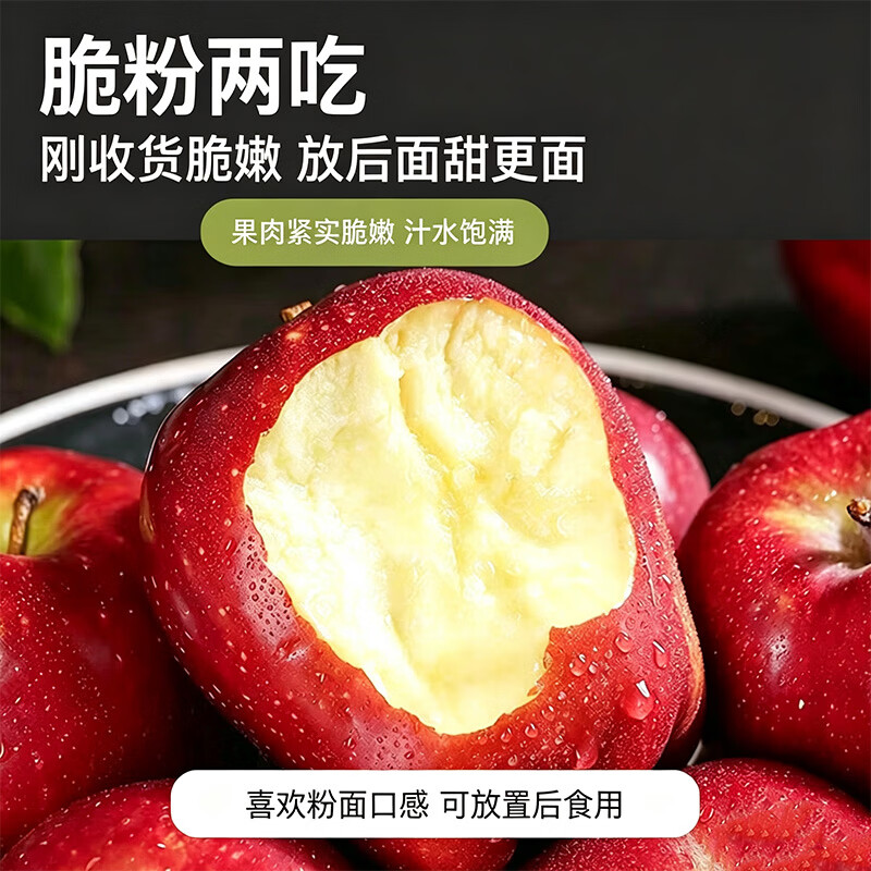 莎凰甘肃天水花牛苹果水果面苹果当季新鲜水果 中秋送礼 净重4.5斤 单果70mm+
