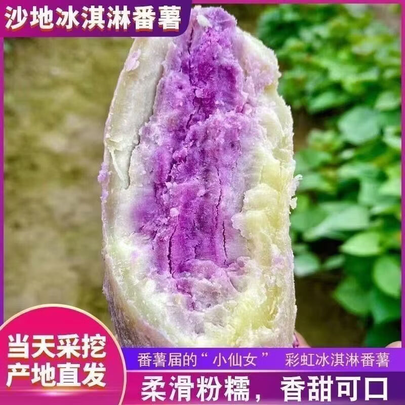 现挖一点红番薯新鲜冰淇淋红薯一点红番薯粉糯香甜香薯冰激凌红薯 冰淇淋番薯 净重4.5斤中大果