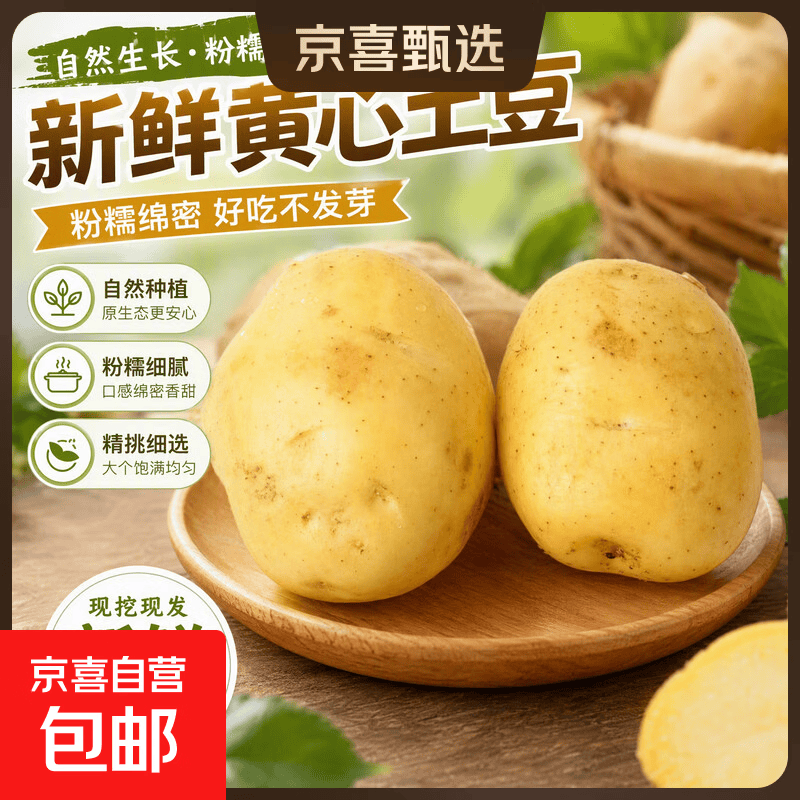 新鲜黄心土豆马铃薯洋芋地瓜新鲜蔬菜  沙面粉糯适合蒸炖土豆泥 新鲜土豆9斤小果【净重】
