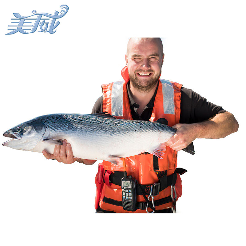 美威冷冻智利 三文鱼中秋礼盒净重12斤 整条轮切礼盒 大西洋鲑鱼 送礼