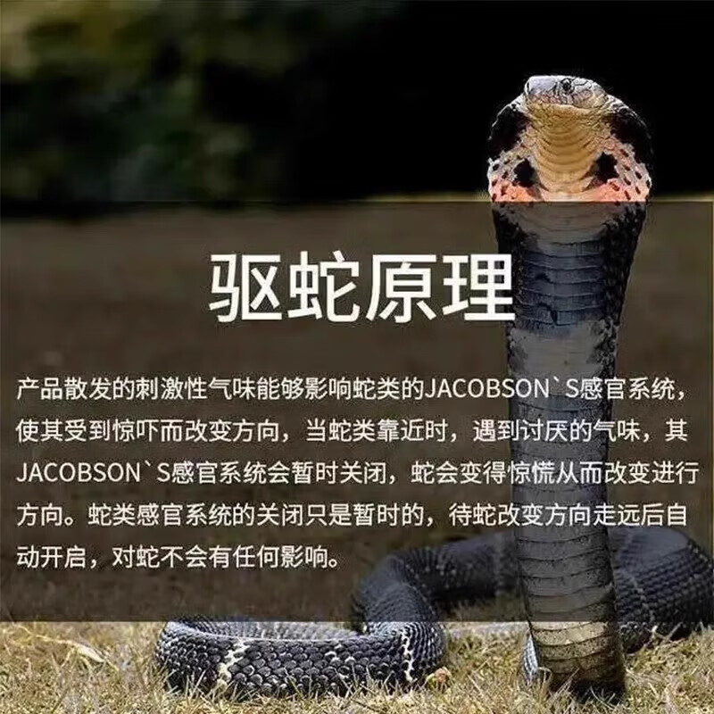 雄黄驱蛇粉强力长效持久安全无毒防雨驱蛇粉100%正品长效驱蛇神器 五瓶 送3瓶【厂房用】