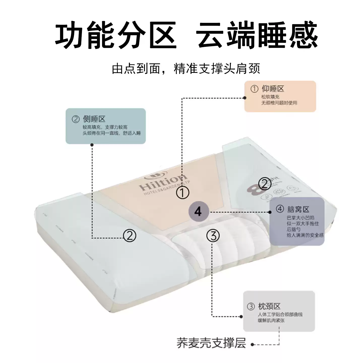 俞兆林枕头护颈椎助睡眠成人家用一对不塌陷荞麦壳枕芯学生睡觉舒适专用 希*顿荞麦颈椎中枕48*74cm 一对