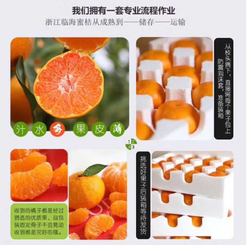 蒲恋临海涌泉蜜桔【顺丰快递-多地次日达】新鲜蜜桔黄岩橘子水果送礼 S+级特级果丨单果60-70mm 5斤装【精美礼盒-送礼力荐】净重4.5斤