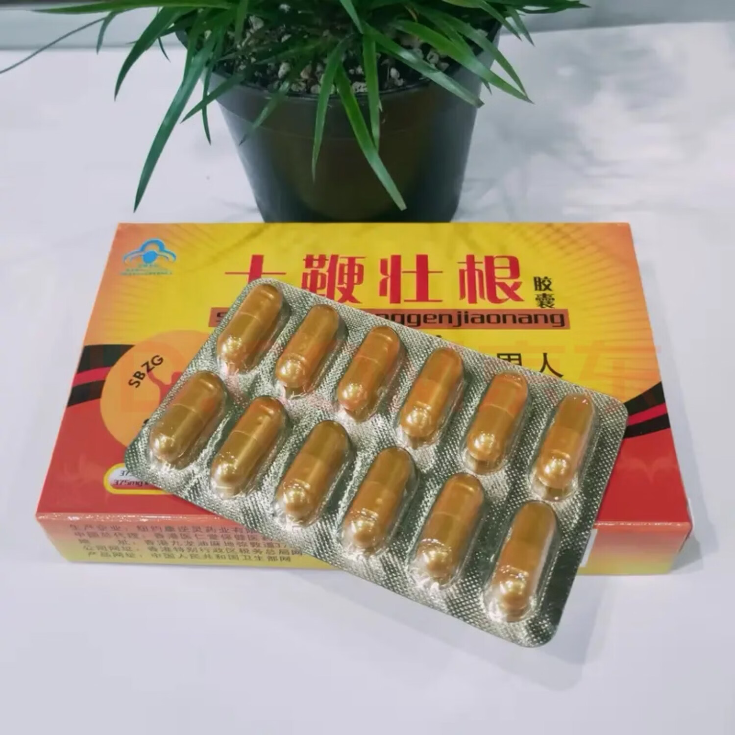老款十鞭壮根胶囊12粒男用速效口服一粒一想就硬买二送一