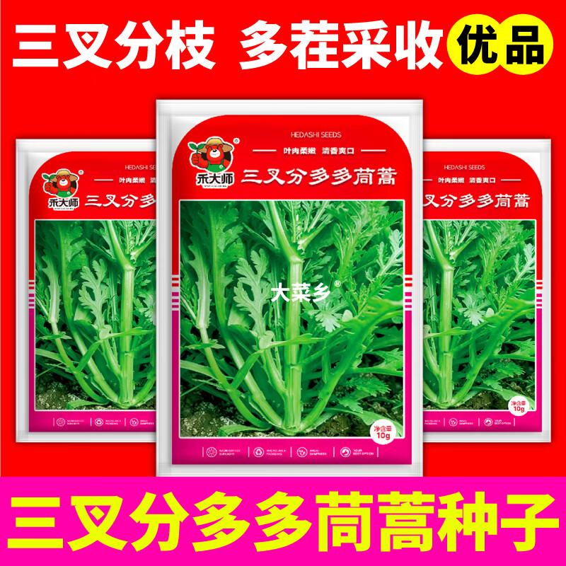 大菜乡三叉分多多茼蒿种子浓香型皇帝菜大叶光杆茼蒿种籽多茬采收 三叉分多多茼蒿种子【2包 约20g】+1包肥