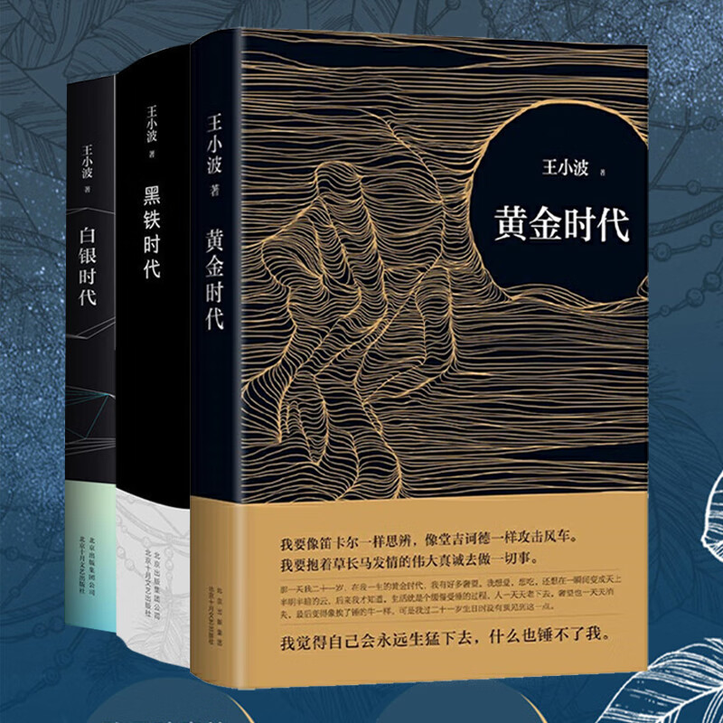 黄金时代 白银时代 黑铁时代 王小波时代三部曲zjy《zjy》